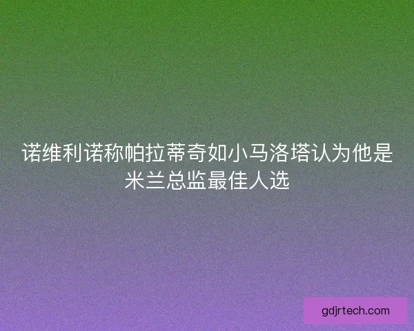 诺维利诺称帕拉蒂奇如小马洛塔认为他是米兰总监最佳人选