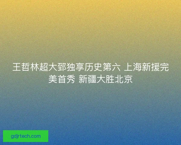 王哲林超大郅独享历史第六 上海新援完美首秀 新疆大胜北京